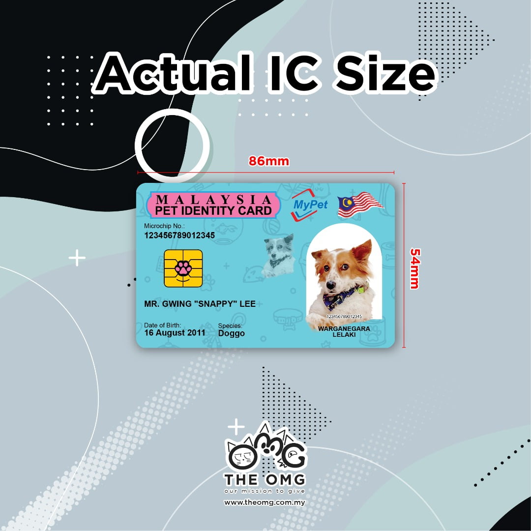 Malaysian card buy id Fake Malaysian